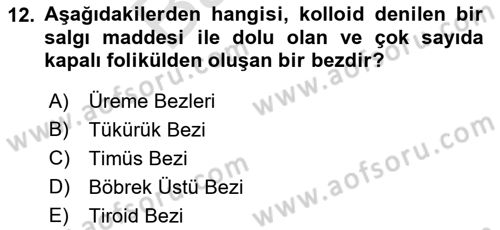 Temel Veteriner Biyokimya Dersi 2021 - 2022 Yılı (Final) Dönem Sonu Sınav Soruları 12. Soru