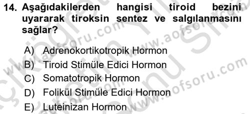 Temel Veteriner Biyokimya Dersi 2021 - 2022 Yılı (Final) Dönem Sonu Sınav Soruları 14. Soru