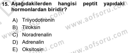Temel Veteriner Biyokimya Dersi 2021 - 2022 Yılı (Final) Dönem Sonu Sınav Soruları 15. Soru