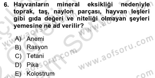 Temel Veteriner Biyokimya Dersi 2021 - 2022 Yılı (Final) Dönem Sonu Sınav Soruları 6. Soru
