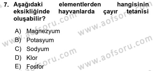 Temel Veteriner Biyokimya Dersi 2021 - 2022 Yılı (Final) Dönem Sonu Sınav Soruları 7. Soru
