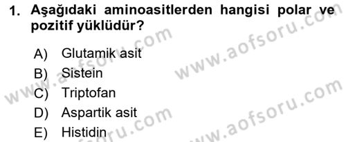 Temel Veteriner Biyokimya Dersi 2021 - 2022 Yılı Yaz Okulu Sınav Soruları 1. Soru