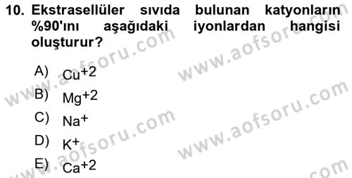 Temel Veteriner Biyokimya Dersi 2021 - 2022 Yılı Yaz Okulu Sınav Soruları 10. Soru