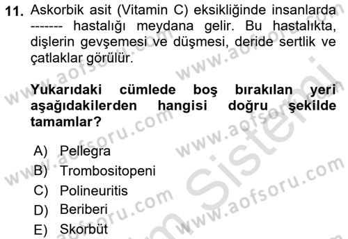 Temel Veteriner Biyokimya Dersi 2021 - 2022 Yılı Yaz Okulu Sınav Soruları 11. Soru