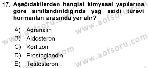 Temel Veteriner Biyokimya Dersi 2021 - 2022 Yılı Yaz Okulu Sınav Soruları 17. Soru