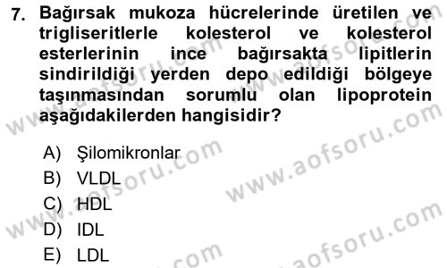 Temel Veteriner Biyokimya Dersi 2021 - 2022 Yılı Yaz Okulu Sınav Soruları 7. Soru