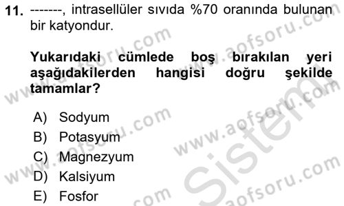 Temel Veteriner Biyokimya Dersi 2022 - 2023 Yılı Yaz Okulu Sınavı 11. Soru