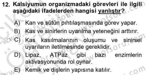 Temel Veteriner Biyokimya Dersi 2022 - 2023 Yılı Yaz Okulu Sınavı 12. Soru