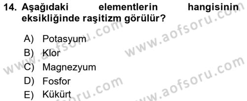 Temel Veteriner Biyokimya Dersi 2022 - 2023 Yılı Yaz Okulu Sınavı 14. Soru