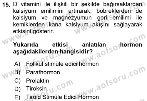 Temel Veteriner Biyokimya Dersi 2022 - 2023 Yılı Yaz Okulu Sınavı 15. Soru