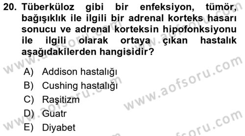 Temel Veteriner Biyokimya Dersi 2022 - 2023 Yılı Yaz Okulu Sınavı 20. Soru