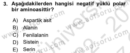 Temel Veteriner Biyokimya Dersi 2022 - 2023 Yılı Yaz Okulu Sınavı 3. Soru