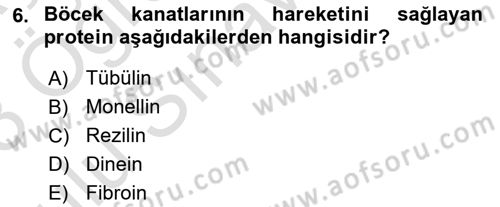 Temel Veteriner Biyokimya Dersi 2022 - 2023 Yılı Yaz Okulu Sınavı 6. Soru