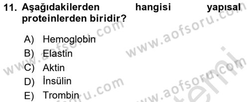 Temel Veteriner Biyokimya Dersi 2023 - 2024 Yılı (Vize) Ara Sınav Soruları 11. Soru