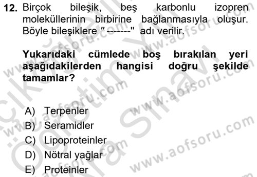 Temel Veteriner Biyokimya Dersi 2023 - 2024 Yılı (Vize) Ara Sınav Soruları 12. Soru