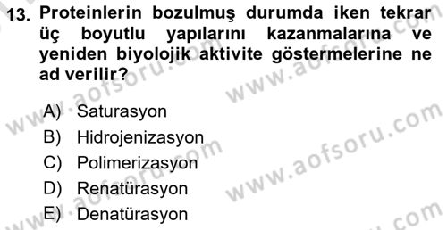Temel Veteriner Biyokimya Dersi 2023 - 2024 Yılı (Vize) Ara Sınav Soruları 13. Soru