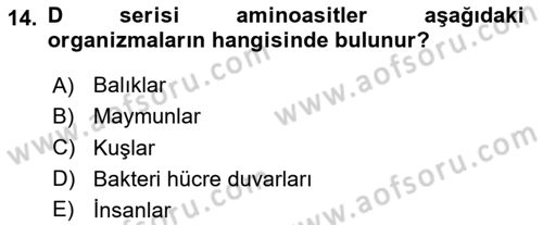 Temel Veteriner Biyokimya Dersi 2023 - 2024 Yılı (Vize) Ara Sınav Soruları 14. Soru