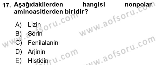 Temel Veteriner Biyokimya Dersi 2023 - 2024 Yılı (Vize) Ara Sınav Soruları 17. Soru