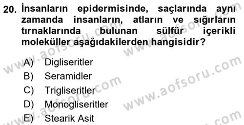 Temel Veteriner Biyokimya Dersi 2023 - 2024 Yılı (Vize) Ara Sınav Soruları 20. Soru