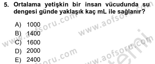 Temel Veteriner Biyokimya Dersi 2023 - 2024 Yılı (Vize) Ara Sınav Soruları 5. Soru