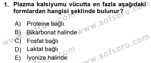 Temel Veteriner Biyokimya Dersi 2023 - 2024 Yılı (Final) Dönem Sonu Sınav Soruları 1. Soru