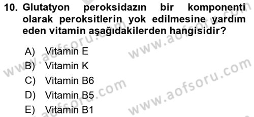 Temel Veteriner Biyokimya Dersi 2023 - 2024 Yılı (Final) Dönem Sonu Sınav Soruları 10. Soru