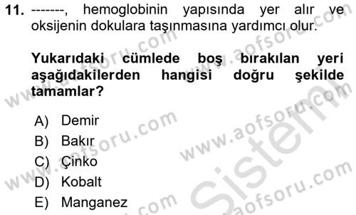 Temel Veteriner Biyokimya Dersi 2023 - 2024 Yılı (Final) Dönem Sonu Sınav Soruları 11. Soru