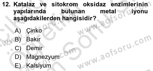 Temel Veteriner Biyokimya Dersi 2023 - 2024 Yılı (Final) Dönem Sonu Sınav Soruları 12. Soru