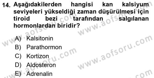 Temel Veteriner Biyokimya Dersi 2023 - 2024 Yılı (Final) Dönem Sonu Sınav Soruları 14. Soru