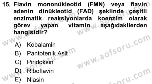 Temel Veteriner Biyokimya Dersi 2023 - 2024 Yılı (Final) Dönem Sonu Sınav Soruları 15. Soru