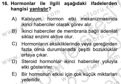 Temel Veteriner Biyokimya Dersi 2023 - 2024 Yılı (Final) Dönem Sonu Sınav Soruları 16. Soru