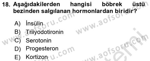 Temel Veteriner Biyokimya Dersi 2023 - 2024 Yılı (Final) Dönem Sonu Sınav Soruları 18. Soru