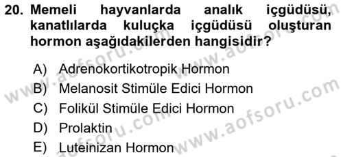 Temel Veteriner Biyokimya Dersi 2023 - 2024 Yılı (Final) Dönem Sonu Sınav Soruları 20. Soru