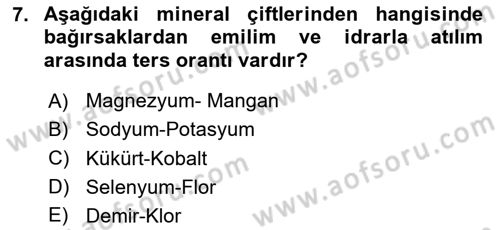 Temel Veteriner Biyokimya Dersi 2023 - 2024 Yılı (Final) Dönem Sonu Sınav Soruları 7. Soru