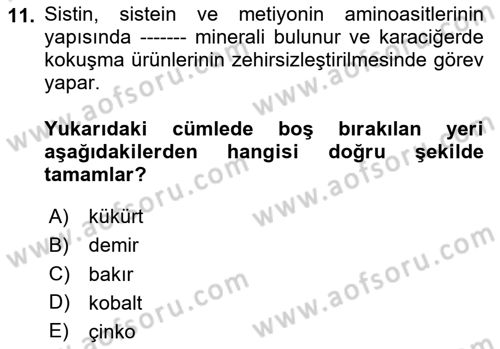 Temel Veteriner Biyokimya Dersi 2023 - 2024 Yılı Yaz Okulu Sınav Soruları 11. Soru
