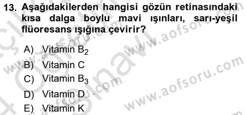 Temel Veteriner Biyokimya Dersi 2023 - 2024 Yılı Yaz Okulu Sınav Soruları 13. Soru