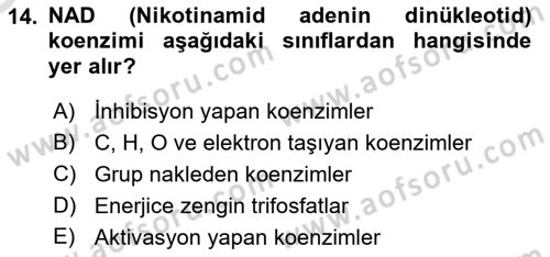 Temel Veteriner Biyokimya Dersi 2023 - 2024 Yılı Yaz Okulu Sınav Soruları 14. Soru