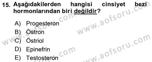 Temel Veteriner Biyokimya Dersi 2023 - 2024 Yılı Yaz Okulu Sınav Soruları 15. Soru