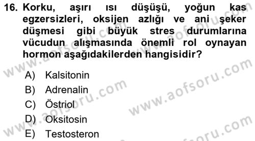 Temel Veteriner Biyokimya Dersi 2023 - 2024 Yılı Yaz Okulu Sınav Soruları 16. Soru