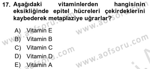 Temel Veteriner Biyokimya Dersi 2023 - 2024 Yılı Yaz Okulu Sınav Soruları 17. Soru