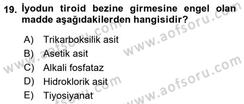 Temel Veteriner Biyokimya Dersi 2023 - 2024 Yılı Yaz Okulu Sınav Soruları 19. Soru