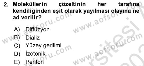 Temel Veteriner Biyokimya Dersi 2023 - 2024 Yılı Yaz Okulu Sınav Soruları 2. Soru