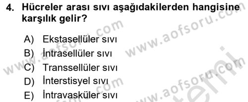 Temel Veteriner Biyokimya Dersi 2023 - 2024 Yılı Yaz Okulu Sınav Soruları 4. Soru