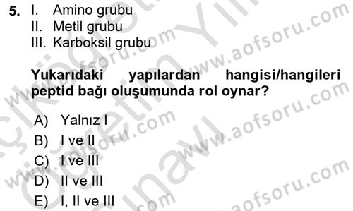 Temel Veteriner Biyokimya Dersi 2023 - 2024 Yılı Yaz Okulu Sınav Soruları 5. Soru