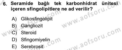 Temel Veteriner Biyokimya Dersi 2023 - 2024 Yılı Yaz Okulu Sınav Soruları 6. Soru