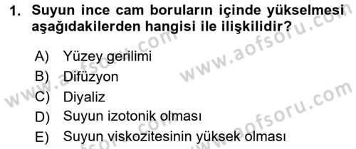 Temel Veteriner Biyokimya Dersi 2024 - 2025 Yılı (Vize) Ara Sınav Soruları 1. Soru
