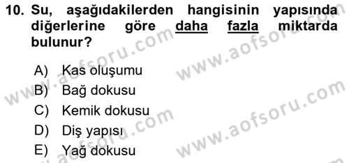 Temel Veteriner Biyokimya Dersi 2024 - 2025 Yılı (Vize) Ara Sınav Soruları 10. Soru