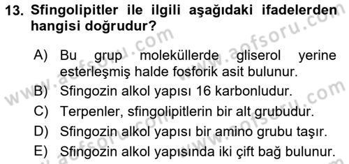 Temel Veteriner Biyokimya Dersi 2024 - 2025 Yılı (Vize) Ara Sınav Soruları 13. Soru