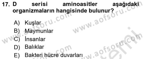 Temel Veteriner Biyokimya Dersi 2024 - 2025 Yılı (Vize) Ara Sınav Soruları 17. Soru