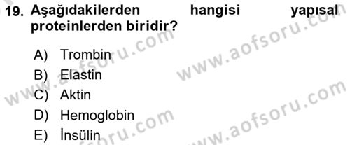 Temel Veteriner Biyokimya Dersi 2024 - 2025 Yılı (Vize) Ara Sınav Soruları 19. Soru